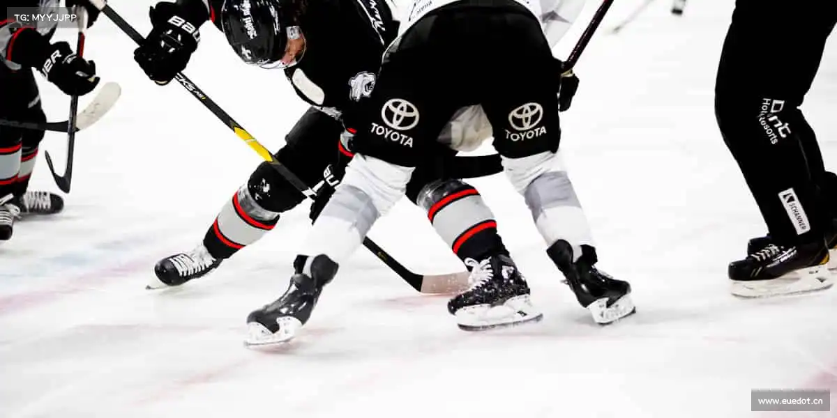 行业领先的理由